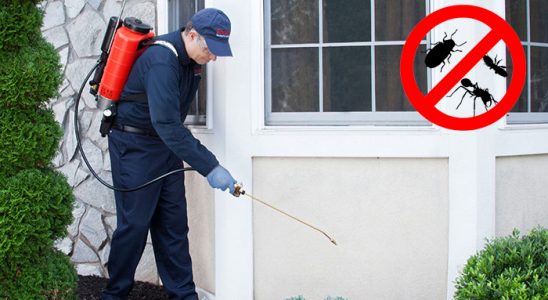 Otlukbeli Uçan Haşere İlaçlama böcek ilaçlama ve haşere kontrolü — ilaclama-tr.com